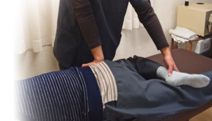 体の検査の様子