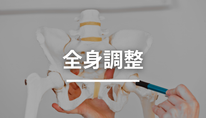 メニュー画像、全身調整